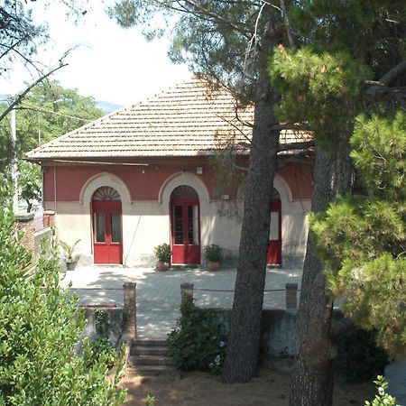 B&B Sotto i Pini Zafferana Etnea Esterno foto