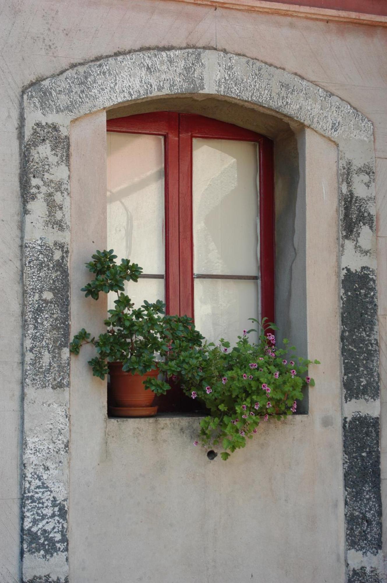 B&B Sotto i Pini Zafferana Etnea Esterno foto